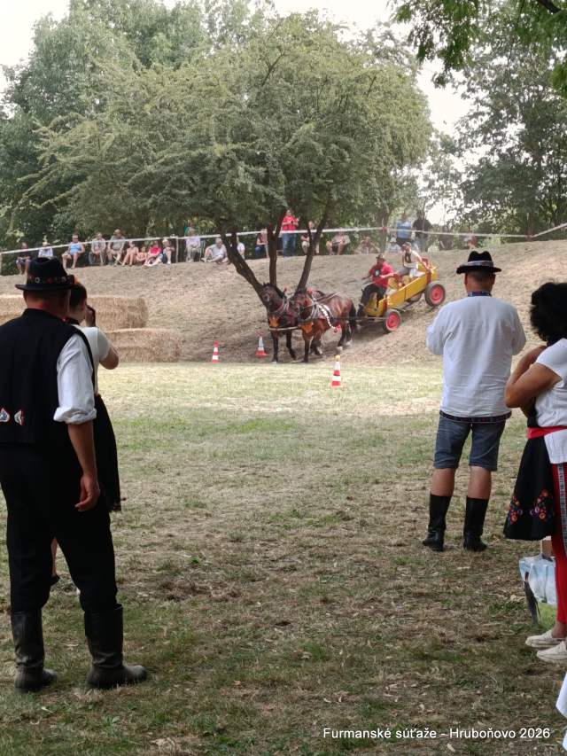 IMG_20260801_113840